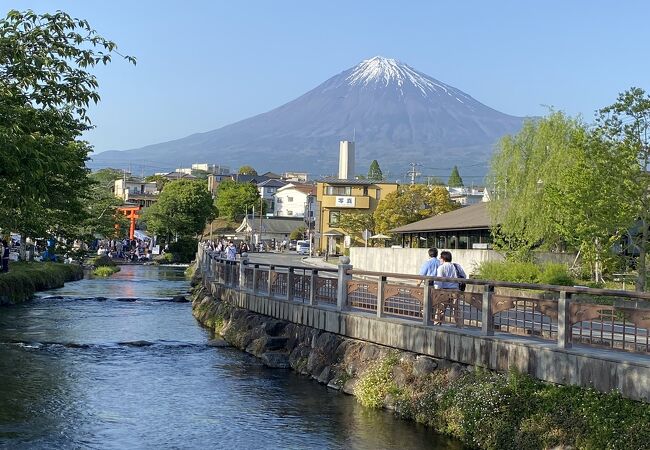 湧玉池が水源