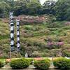 残念ながら、5月連休に訪れたのですが、つつじの見ごろを逃してしまいました。