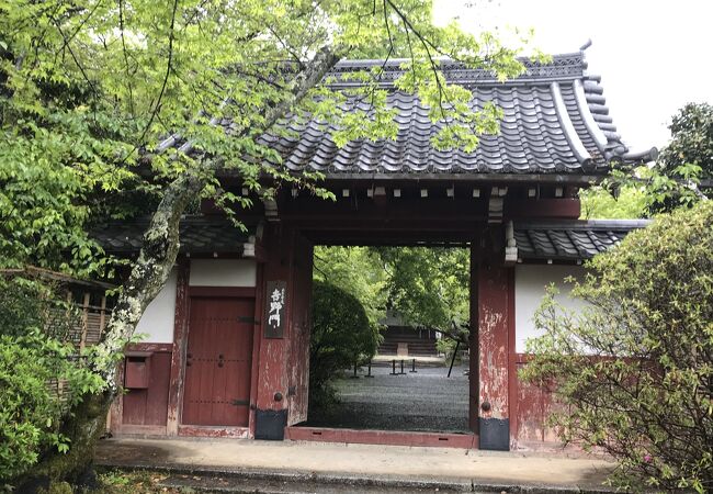 常照寺 クチコミ・アクセス・営業時間｜今出川・北大路・北野