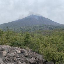 桜島、良く見えます