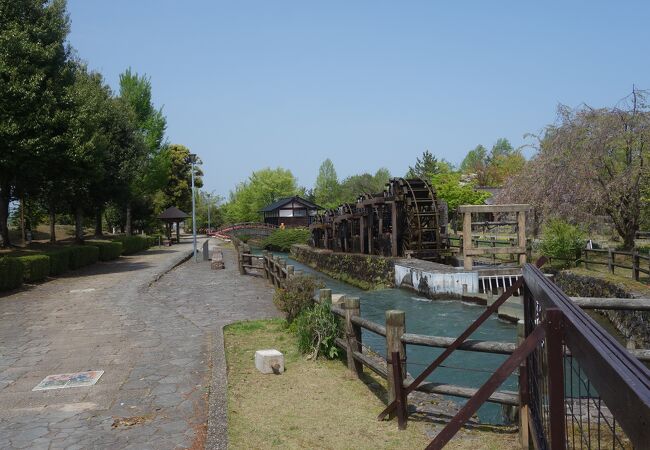 良く見ると水をくみ上げているようです。動力はどこから来るのでしょうか。仕組みが良く分かりません。