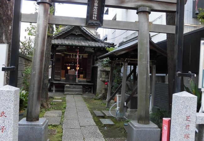い出のひと時に、とびきりのおしゃれを！ 古写真 稲荷神社 殿舎改築記念 （古 アンティーク 骨董 門外不出 芸術写真