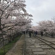 人出はコロナ前に戻っている感じ