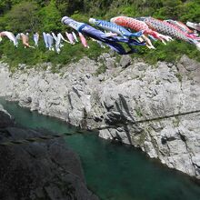 ４月下旬だったので、鯉のぼりがありました。