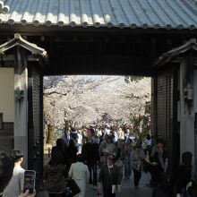 石川門　観光客でごった返す