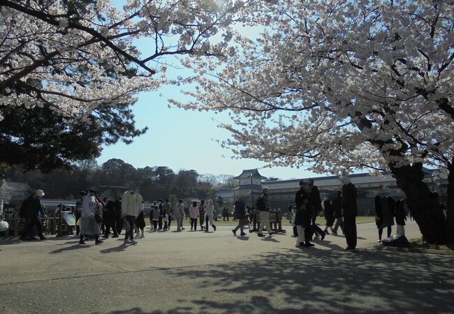 兼六園無料開園＆金沢城・兼六園～観桜期ライトアップ～