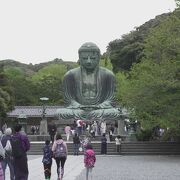 もしかしたら、大仏様の守り神？