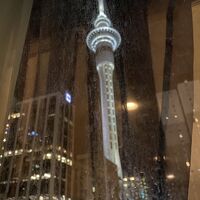 スカイタワーが見えました(505号室)