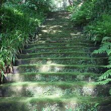 妙法寺(苔寺)