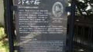 日本と米国、友好の桜です。