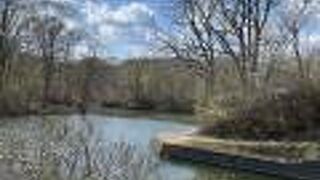 大沼国定公園にあります