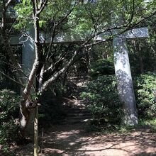 この鳥居をくぐると、いよいよ厳しい登りが始まります。