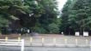 一日たのしめる