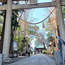 鳥居から鎮守の森が続きます