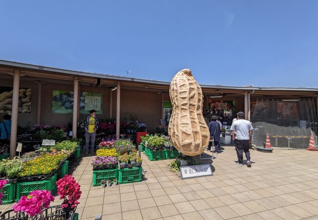 沢山の種類のピーナッツ