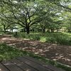 日差しが気持ち良い遊歩道と、子供向け遊具