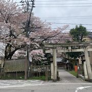 菅原道真と織田信長のコラボ