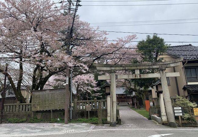 菅原道真と織田信長のコラボ