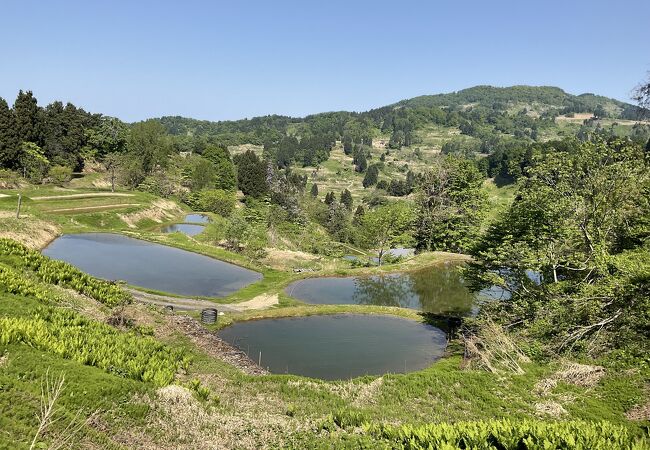 山古志の棚田