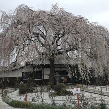 本満寺