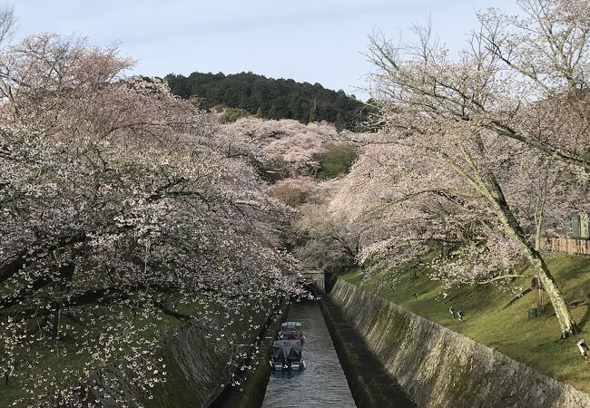 京都市へ水を流すために明治時代に造られた水路