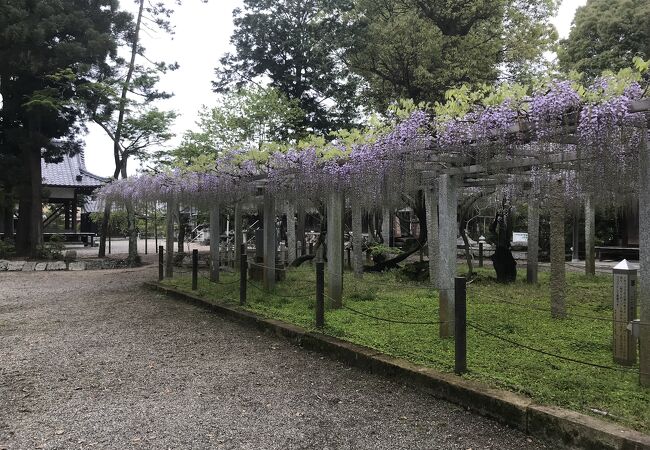 三大神社