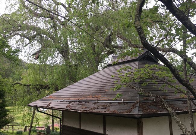 風情ある建物