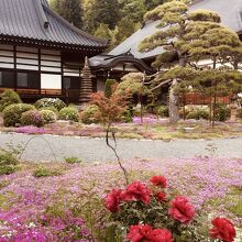 蓮華寺