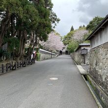 正門にいたるまでの城下町の雰囲気