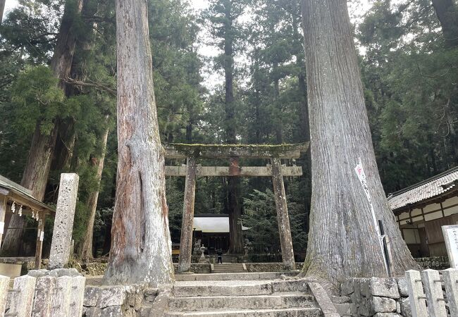 龍穴神社