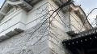 千葉県立関宿城博物館