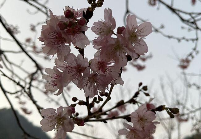 陽明山公園