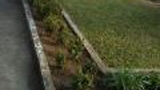 広い緑地帯です