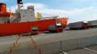 ビール作りを学んでから試飲するとなおおいしい！