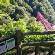 橋を渡るトロッコ電車が見える