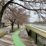 春は桜の名所