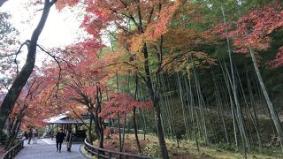 京都五山第一を誇る格式高い禅寺