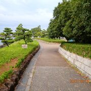 新堀川沿いの河岸公園