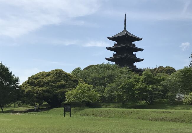 ゴールデンウイークには五重塔の初層公開