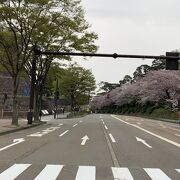 金沢の大通り