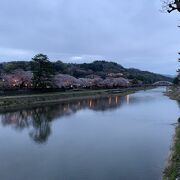 茶屋街と桜