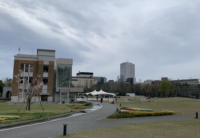 しいのき迎賓館の芝生