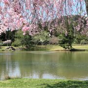 世界遺産の一部としては地味ですが、桜の花の時期の庭園は風情あり