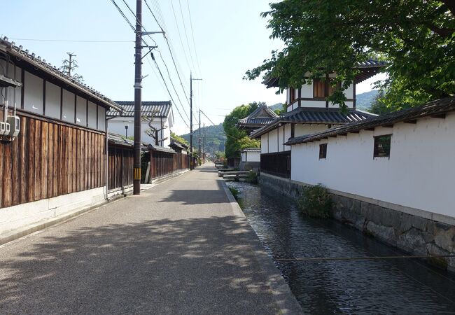 錦鯉が泳ぐ水路