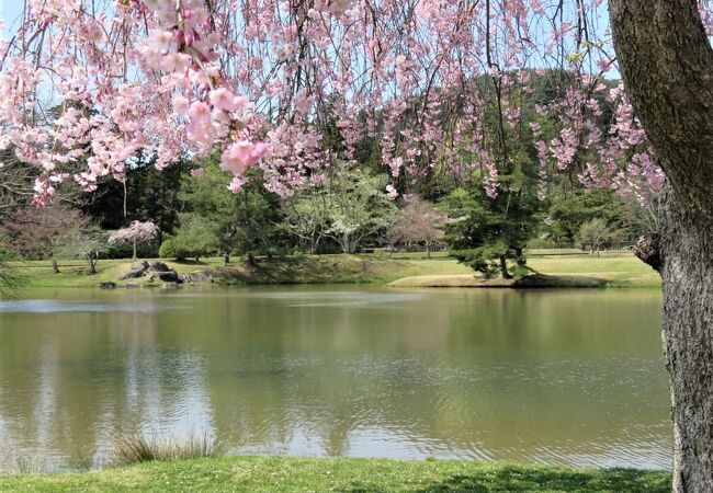 世界遺産の一部としては地味ですが、桜の花の時期の庭園は風情あり