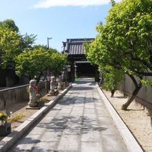 宝樹院