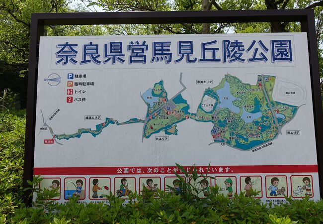 奈良県で２番目に広い公園は花の名所