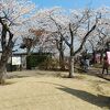 第99回高田城址公園観桜会