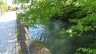 内川と遊歩道「学問の道」