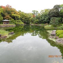 白鳥庭園内部です